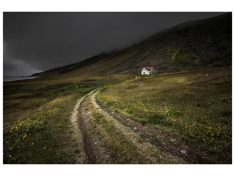 canvas-print-raw-x