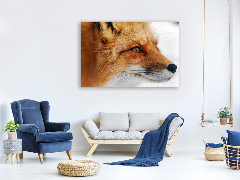 canvas-print-red-fox-x