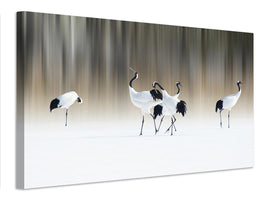 canvas-print-redcrested-white-cranes-x