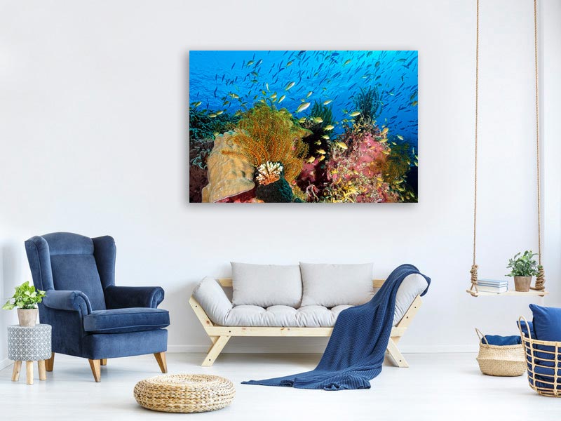 canvas-print-reef-at-cabilao-x