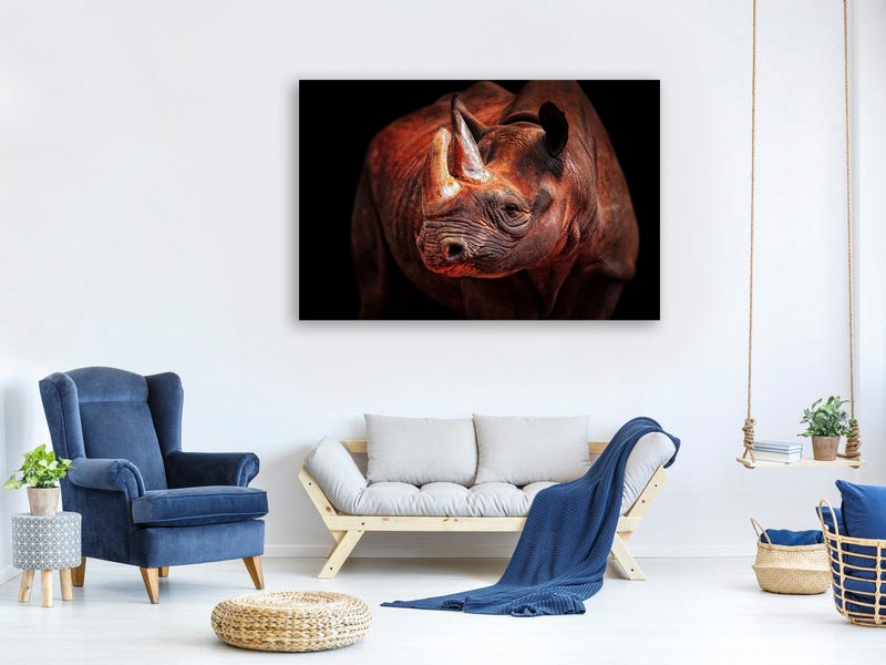 canvas-print-rhino-posing-x