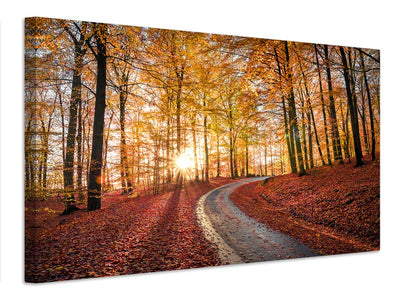 canvas-print-road-in-sapderaysen-nationalpark-sweden-x