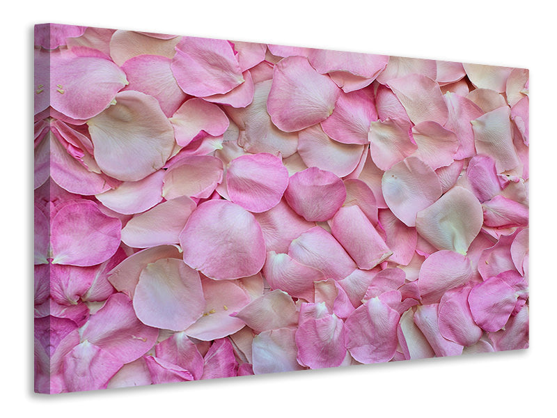 canvas-print-rose-petals-in-pink-ii