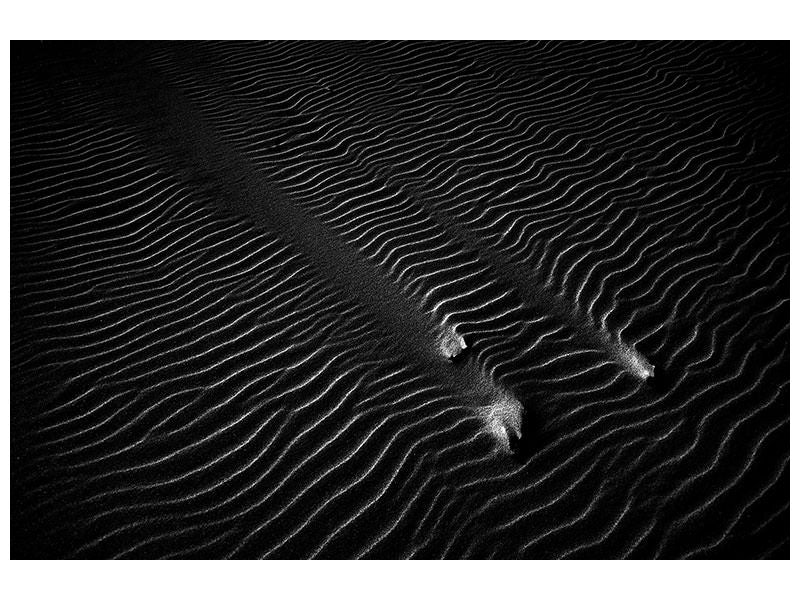 canvas-print-sand-ii