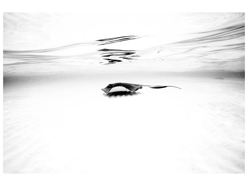 canvas-print-sandbar-series-i-x