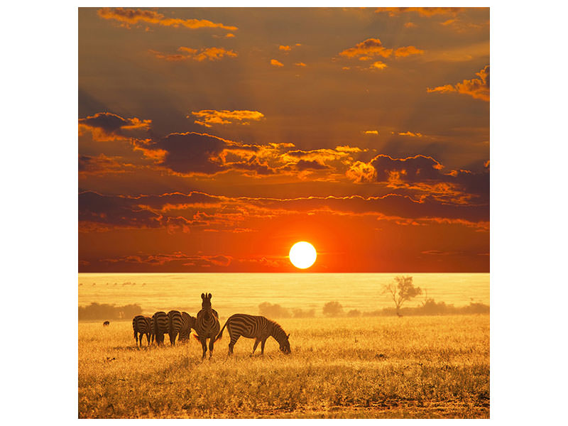 canvas-print-seregenti-national-park