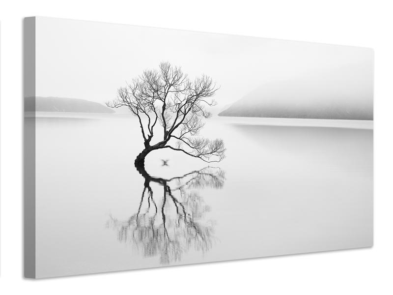 canvas-print-serenity-xqn