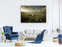 canvas-print-sheep-x