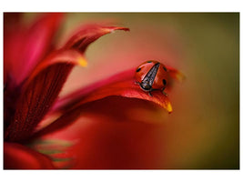 canvas-print-simply-red-x