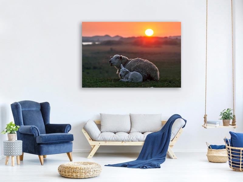 canvas-print-sleep-well-sheep-x