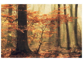 canvas-print-soft-fall-x