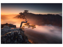 canvas-print-sokolica-x