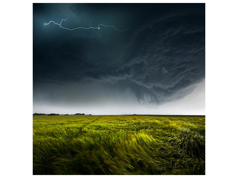 canvas-print-sommergewitter01-x