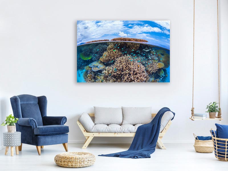 canvas-print-split-level-from-mayotte-reef-x