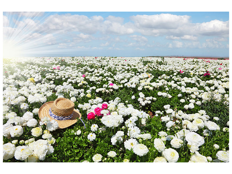 canvas-print-spring-flower-meadow