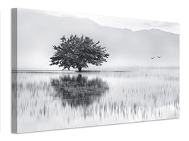 canvas-print-spring-mirror-x