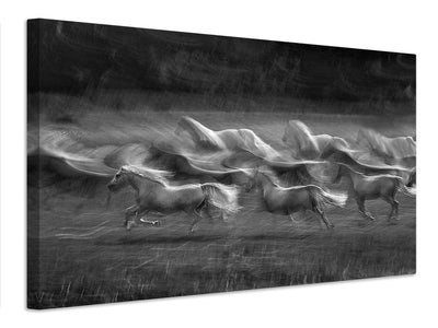 canvas-print-stampedo-x