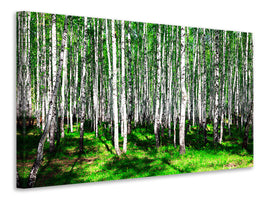 canvas-print-summerly-birch-forest