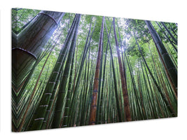 canvas-print-tall-x