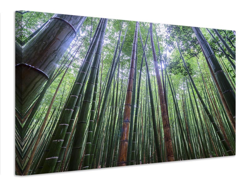 canvas-print-tall-x