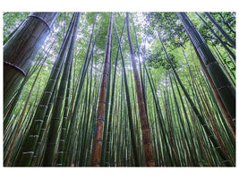 canvas-print-tall-x
