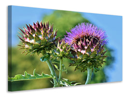 canvas-print-the-artichoke-xl