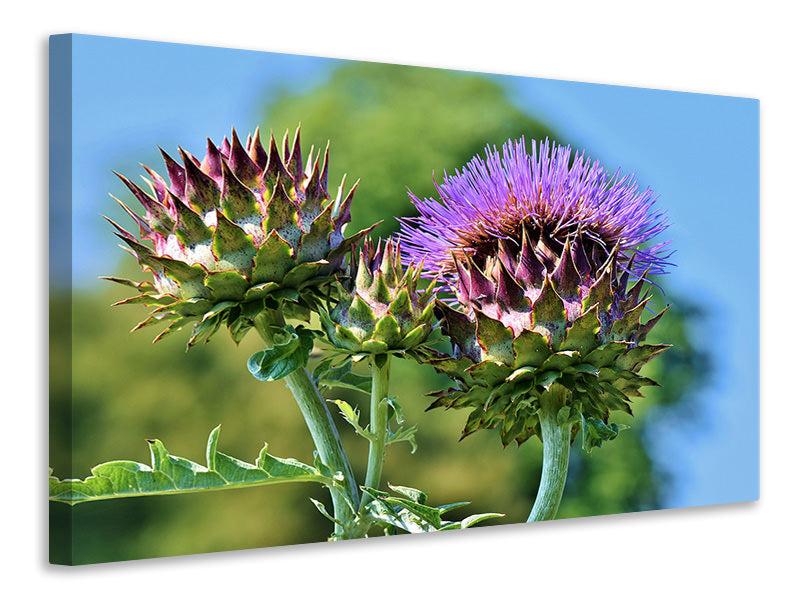 canvas-print-the-artichoke-xl