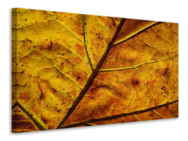 canvas-print-the-autumn-leaf