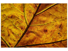 canvas-print-the-autumn-leaf