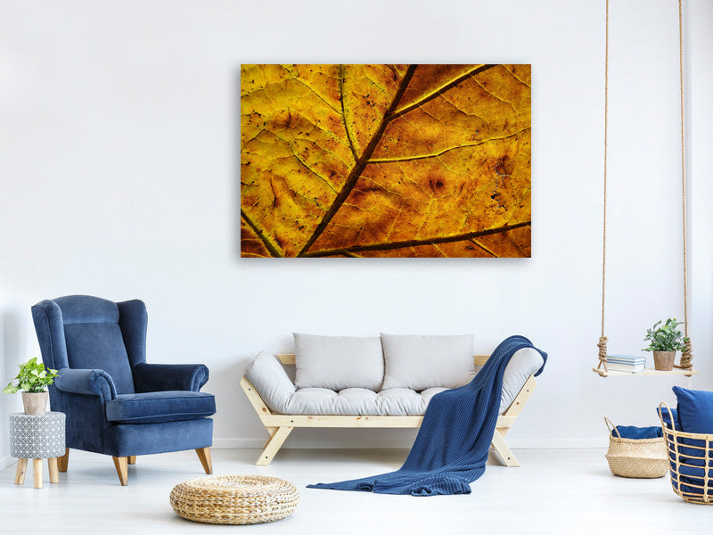 canvas-print-the-autumn-leaf