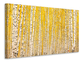 canvas-print-the-birch-forest-in-autumn