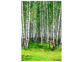 canvas-print-the-birch-forest-in-summer