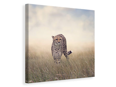 canvas-print-the-cheetah