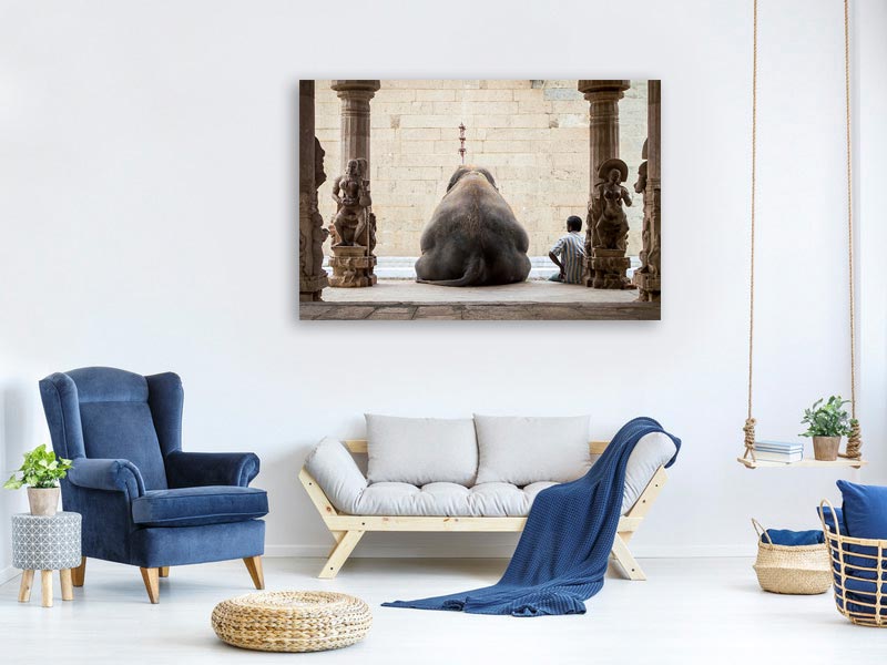 canvas-print-the-elephant-a-its-mahot-x