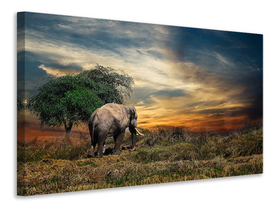 canvas-print-the-elephant-in-the-sunset