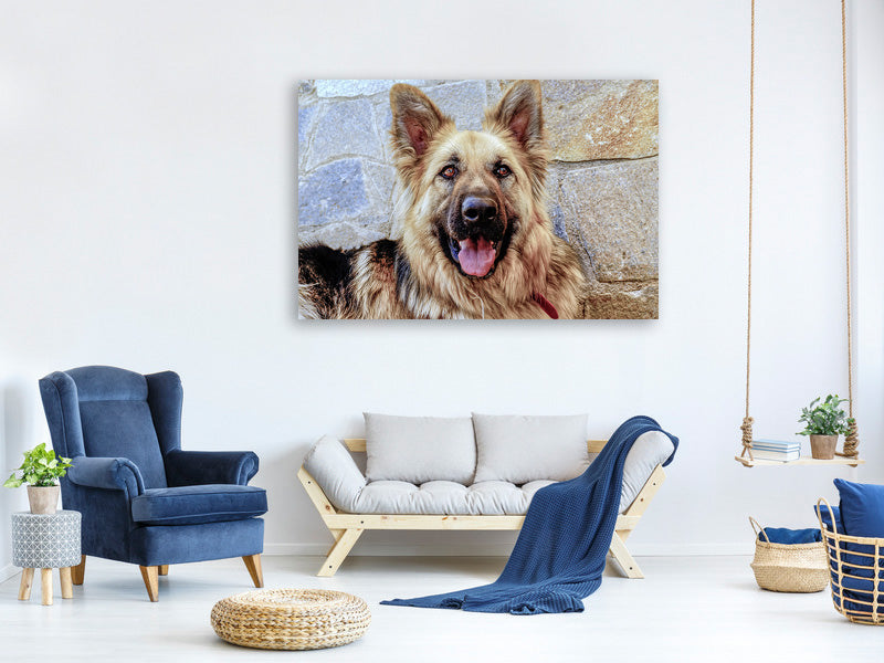 canvas-print-the-german-shepherd