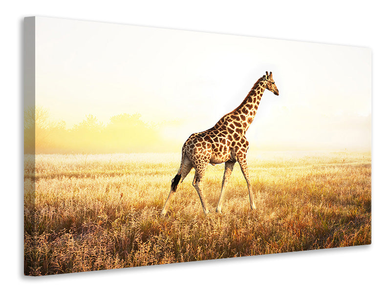 canvas-print-the-giraffe