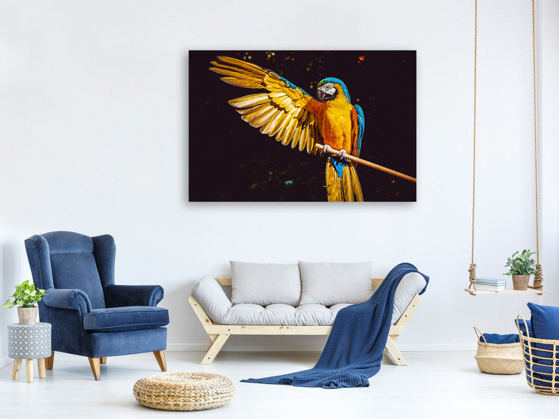 canvas-print-the-macaw