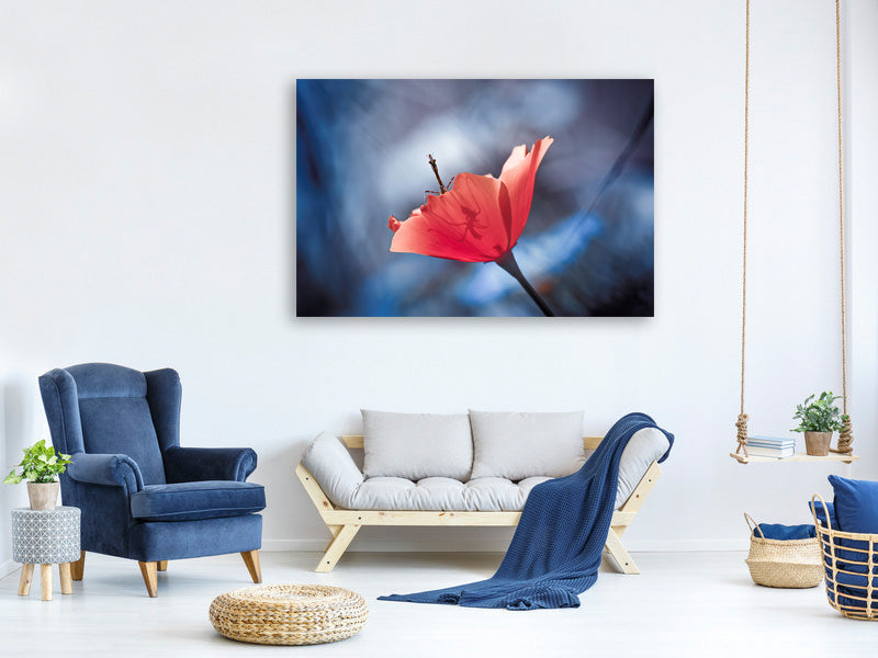 canvas-print-the-poppy-master