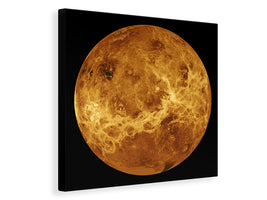 canvas-print-the-venus