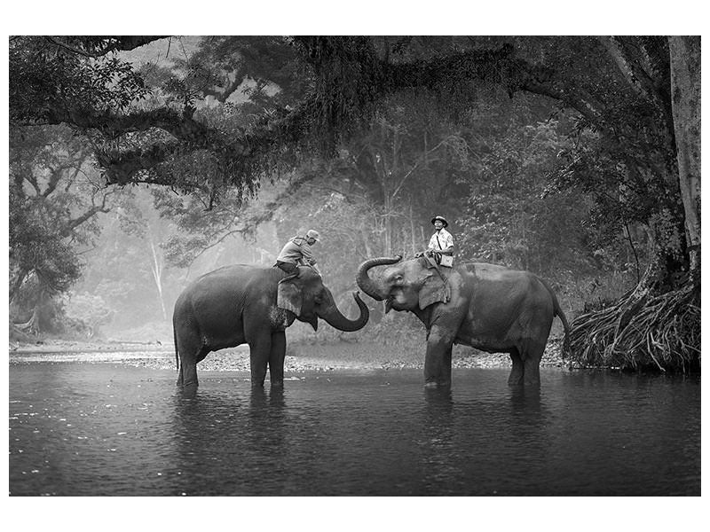 canvas-print-two-elephants