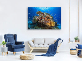 canvas-print-underwater-biodiversity-x