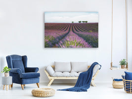 canvas-print-velours-de-lavender