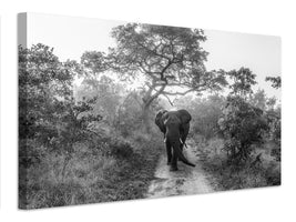 canvas-print-walking-giant-x