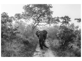 canvas-print-walking-giant-x