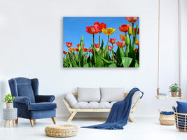 canvas-print-wild-tulips