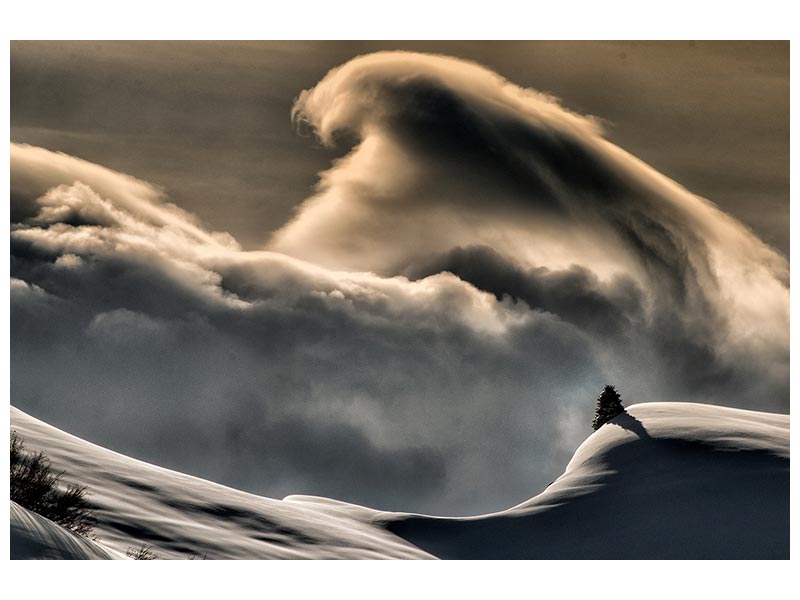 canvas-print-wine-cloud-x