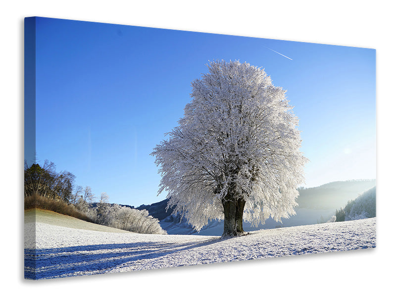 canvas-print-winter-fairy-tale