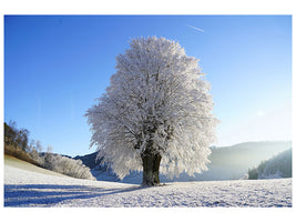 canvas-print-winter-fairy-tale