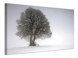 canvas-print-winter-tree-x